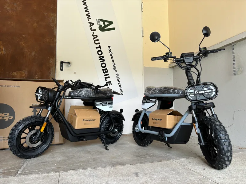 Coopop Rugged GS E-Moped Verpackung Karton