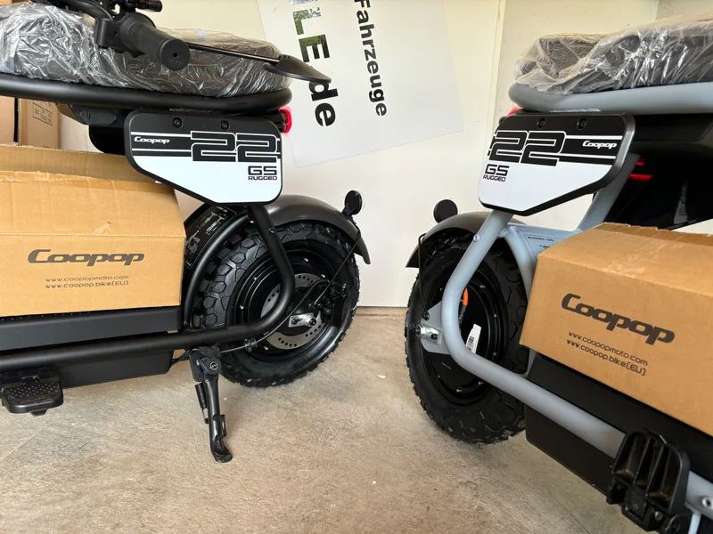 Coopop Rugged GS E-Moped Seitenansicht mit Karton