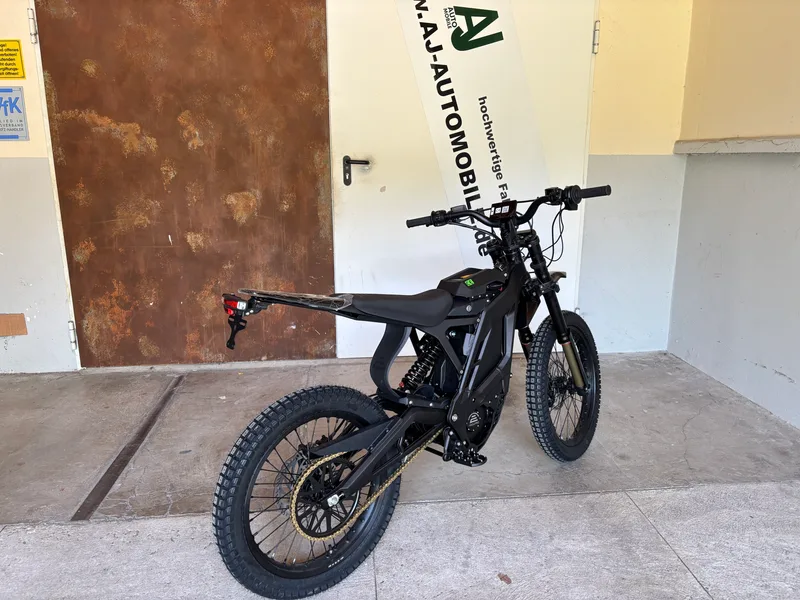 E Ride Pro SS 3.0 Elektromotor Nahaufnahme