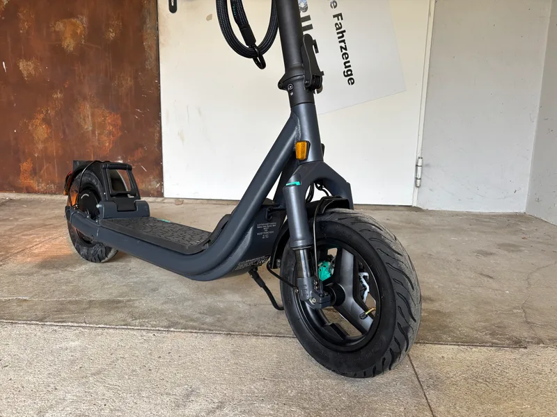 Egret GT Bremse Detailansicht