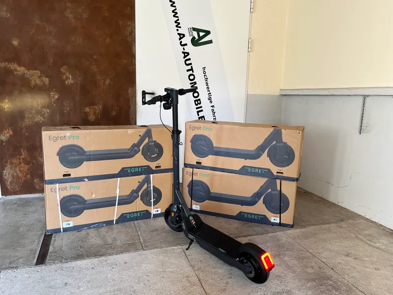 Egret Pro Hinterrad und Motor