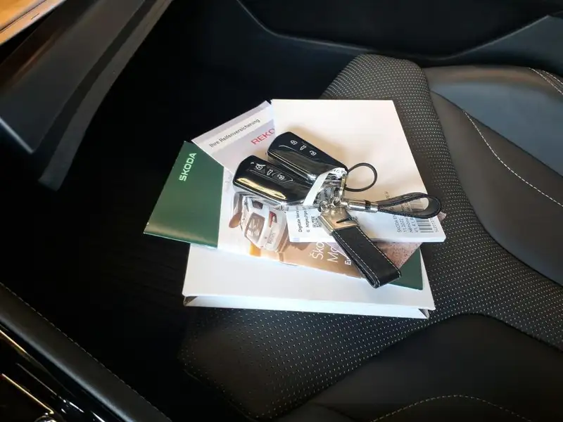 Skoda Enyaq RS MAXX – Bild 5