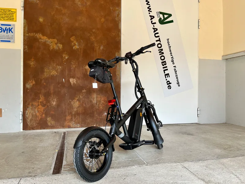 Steereon C30 E-Bike schwarz, Seitenansicht