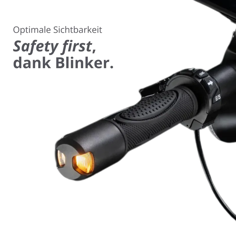 VMAX VX2 HUB E-Scooter Trittbrett Detailansicht